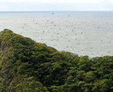 Foto aérea de paisagem natural do Paraná
