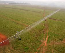 Foto de sistema de irrigação
