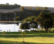Fotos de árvores e vegetação em ambientes urbanos