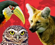 Foto da capa do livro vermelho da fauna do Paraná