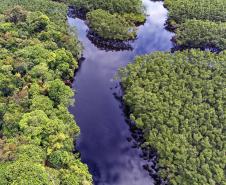 Foto aérea de paisagem natural do Paraná