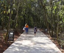 Fotos de árvores e vegetação em ambientes urbanos