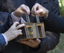 Foto de soltura de pássaros