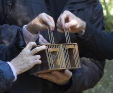 Foto de soltura de pássaros