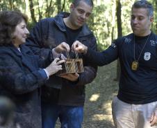 Foto de soltura de pássaros