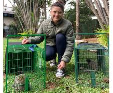 Foto de sagui resgatado