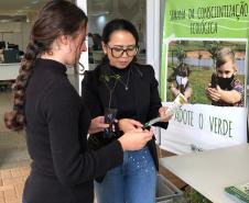 Fotos de eventos de distribuição de mudas Semana do Meio Ambiente