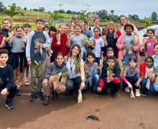 Fotos de eventos de distribuição de mudas Semana do Meio Ambiente