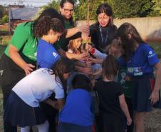 Fotos de eventos de distribuição de mudas Semana do Meio Ambiente