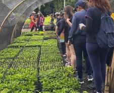 Fotos de eventos de distribuição de mudas Semana do Meio Ambiente