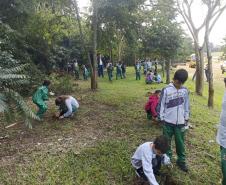 Fotos de eventos de distribuição de mudas Semana do Meio Ambiente
