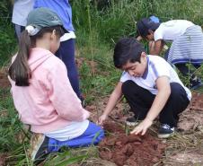 Fotos de eventos de distribuição de mudas Semana do Meio Ambiente