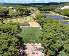 Fotos de árvores e vegetação em ambientes urbanos