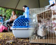 Fotos de animais em ação do Castrapet