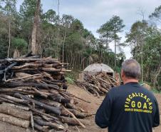 Foto de ação de fiscalização ambiental do IAT