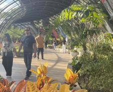 Foto de exposição de fauna ameaçada