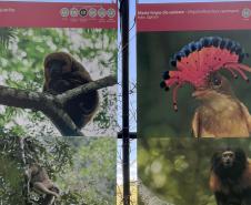Foto de exposição de fauna ameaçada