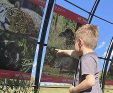 Foto de exposição de fauna ameaçada