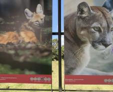Foto de exposição de fauna ameaçada