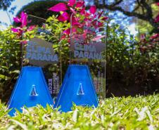 Foto do troféu do Selo Clima Paraná