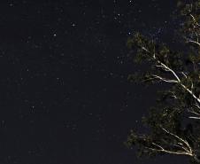Foto do Jardim Botânico de Londrina