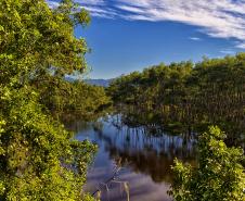 Foto de parque estadual do Paraná