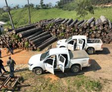 Foto de ação de fiscalização ambiental do IAT