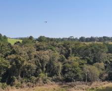 Foto de operação de queimada controlada no parque do Cerrado