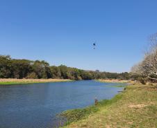 Foto de operação de queimada controlada no parque do Cerrado