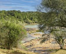 Foto de paisagem da Mata Atlântica do Paraná