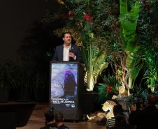 Foto de Governador palestrando em evento