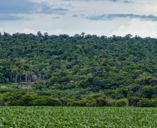Foto de paisagem natural do Paraná
