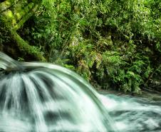 Foto de paisagem natural do Paraná