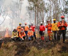 Dia do Voluntário: programas do IAT reúnem 1.594 pessoas em prol da preservação ambiental