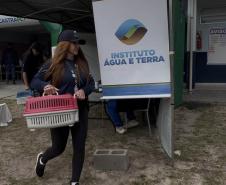 Passagem extra do CastraPet Paraná pela Ilha do Mel beneficia 102 animais