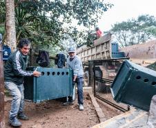 Parceria entre IAT e criadouro repovoou Parque das Lauráceas com mais de 500 animais