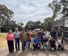 200 mil mudas por ano: Estado inaugura novas instalações do viveiro florestal de Ibiporã