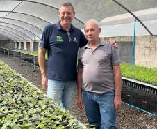 200 mil mudas por ano: Estado inaugura novas instalações do viveiro florestal de Ibiporã