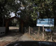 200 mil mudas por ano: Estado inaugura novas instalações do viveiro florestal de Ibiporã