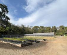 200 mil mudas por ano: Estado inaugura novas instalações do viveiro florestal de Ibiporã