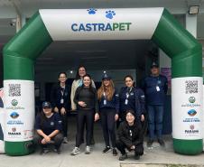 Passagem extra do CastraPet Paraná pela Ilha do Mel beneficia 102 animais