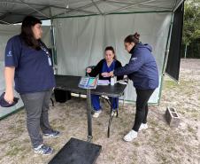 Passagem extra do CastraPet Paraná pela Ilha do Mel beneficia 102 animais