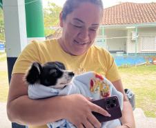 Passagem extra do CastraPet Paraná pela Ilha do Mel beneficia 102 animais