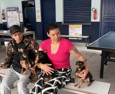 Passagem extra do CastraPet Paraná pela Ilha do Mel beneficia 102 animais