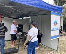 Passagem extra do CastraPet Paraná pela Ilha do Mel beneficia 102 animais