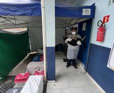 Passagem extra do CastraPet Paraná pela Ilha do Mel beneficia 102 animais