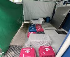 Passagem extra do CastraPet Paraná pela Ilha do Mel beneficia 102 animais