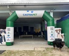 Passagem extra do CastraPet Paraná pela Ilha do Mel beneficia 102 animais