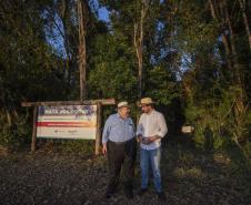 Referência em preservação no Norte do Paraná, Mata dos Godoy reabre após revitalização