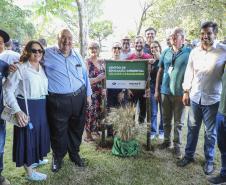 Referência em preservação no Norte do Paraná, Mata dos Godoy reabre após revitalização